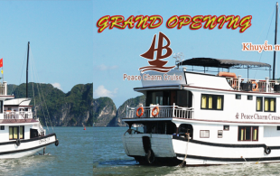 banner promotion