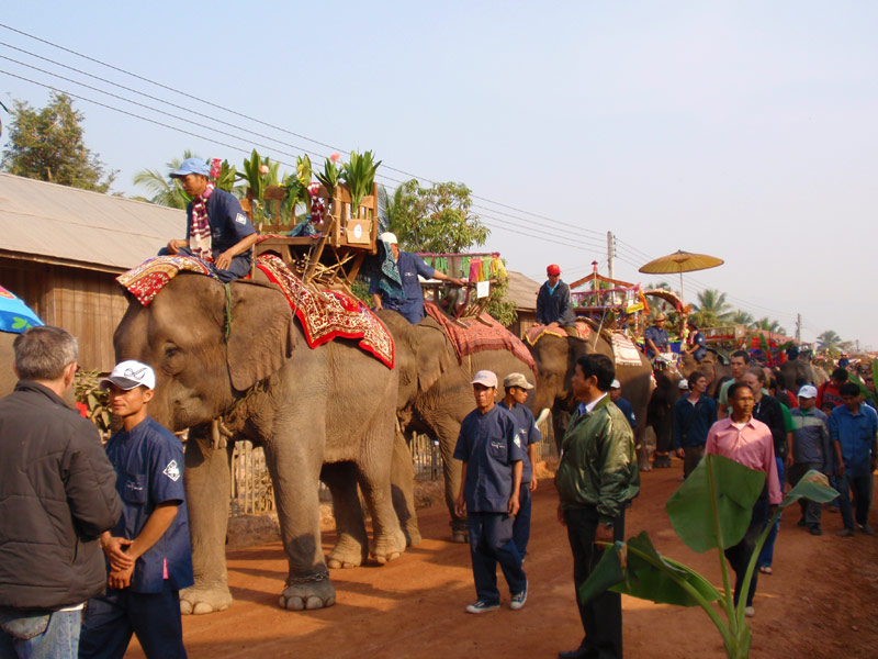 Elephant Race Festival