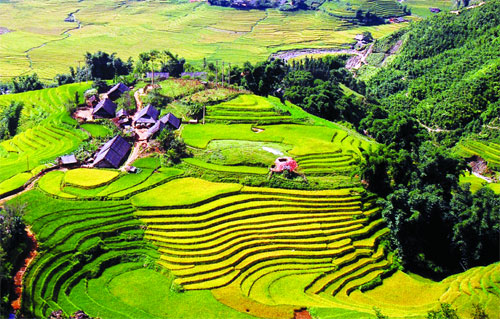 sapa