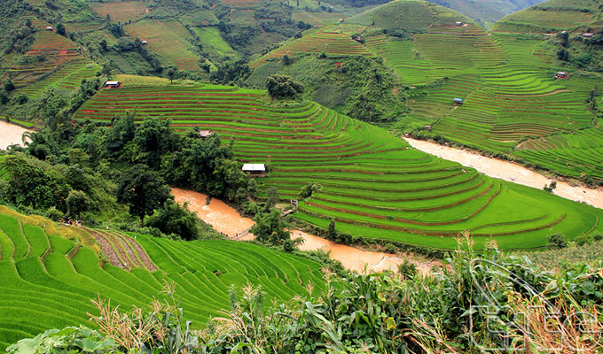 64HMuCangChai06JPG