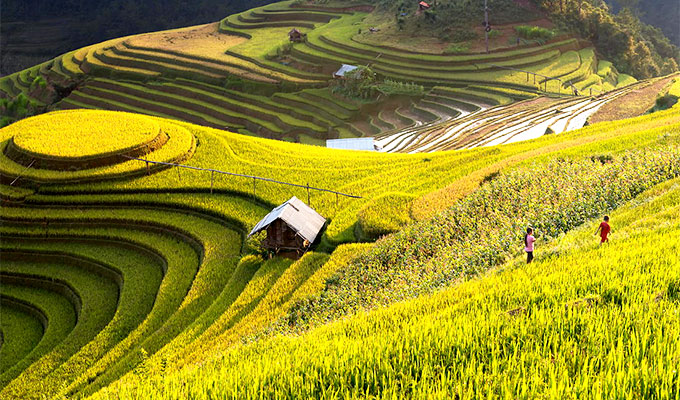 MU-CANG-CHAI