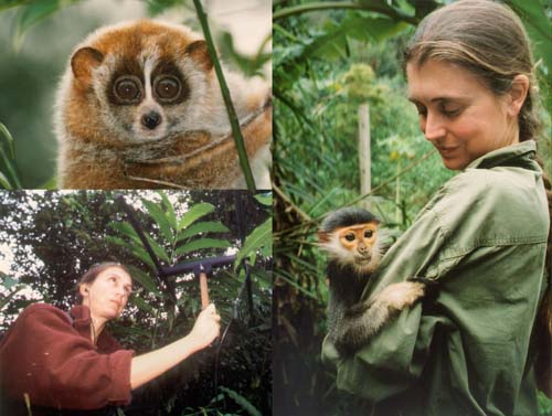 Ulrike Streicher Endangered Primate Rescue Center, Vietnam