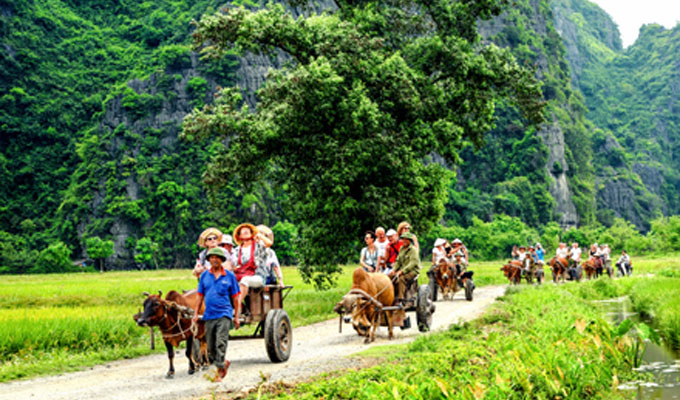 netdepthonqueninhbinh02