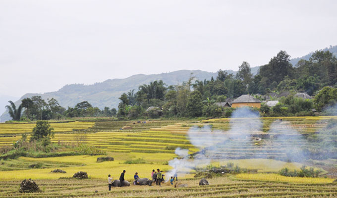 khungcanhyty01