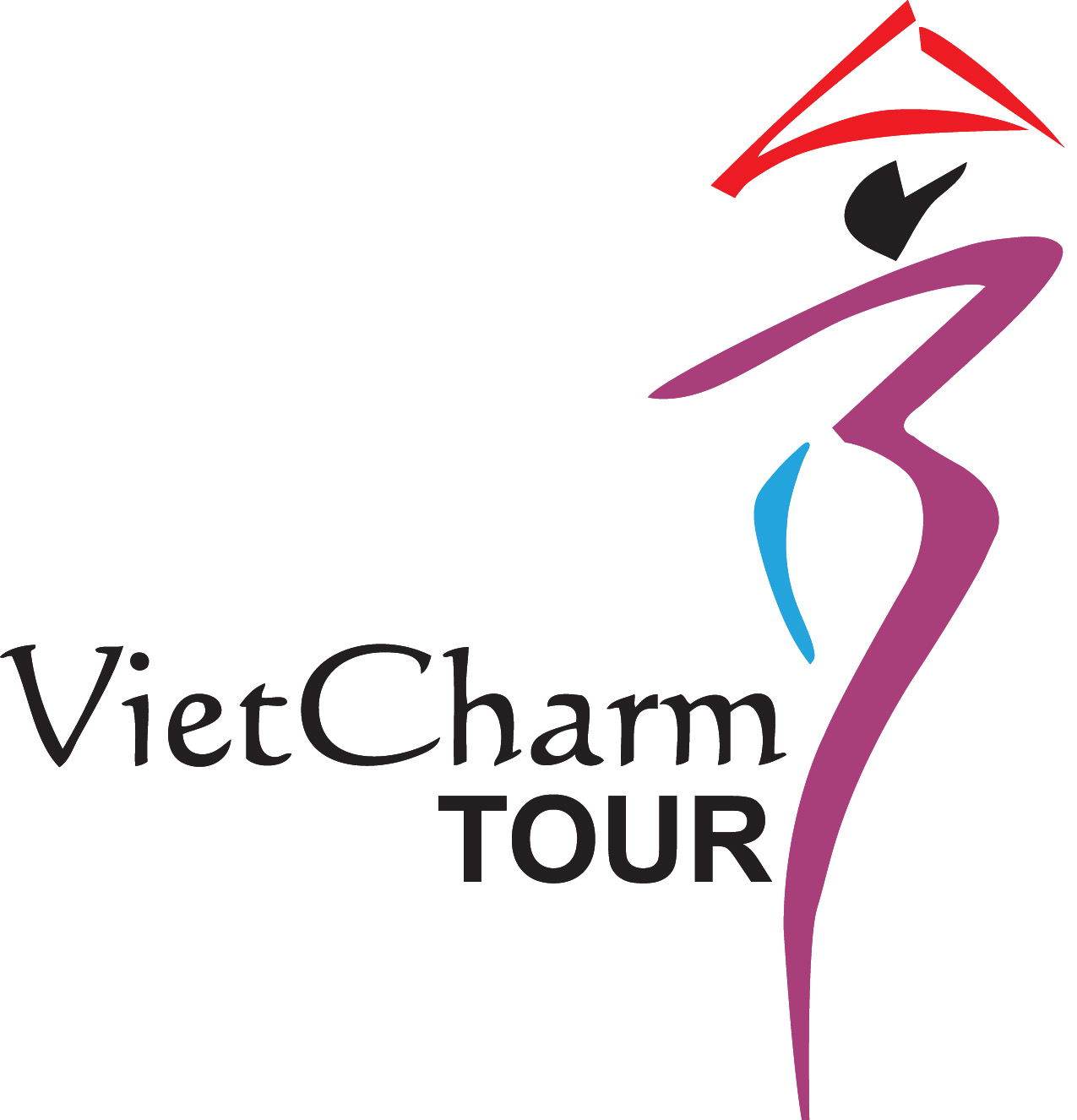 logo vietcharm